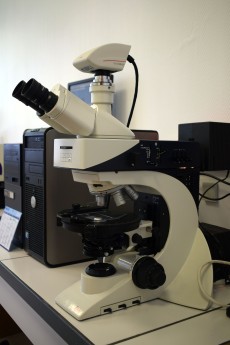 Microscope optique polarisant